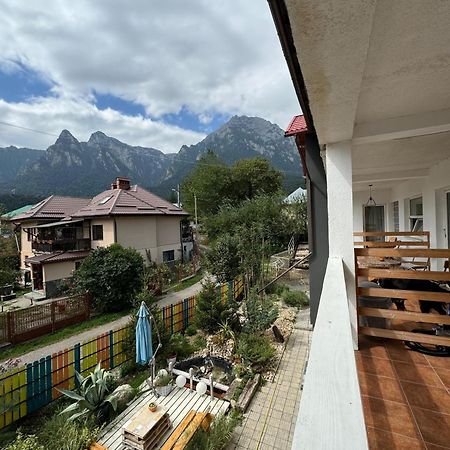 Casa David Hotel Busteni Bagian luar foto