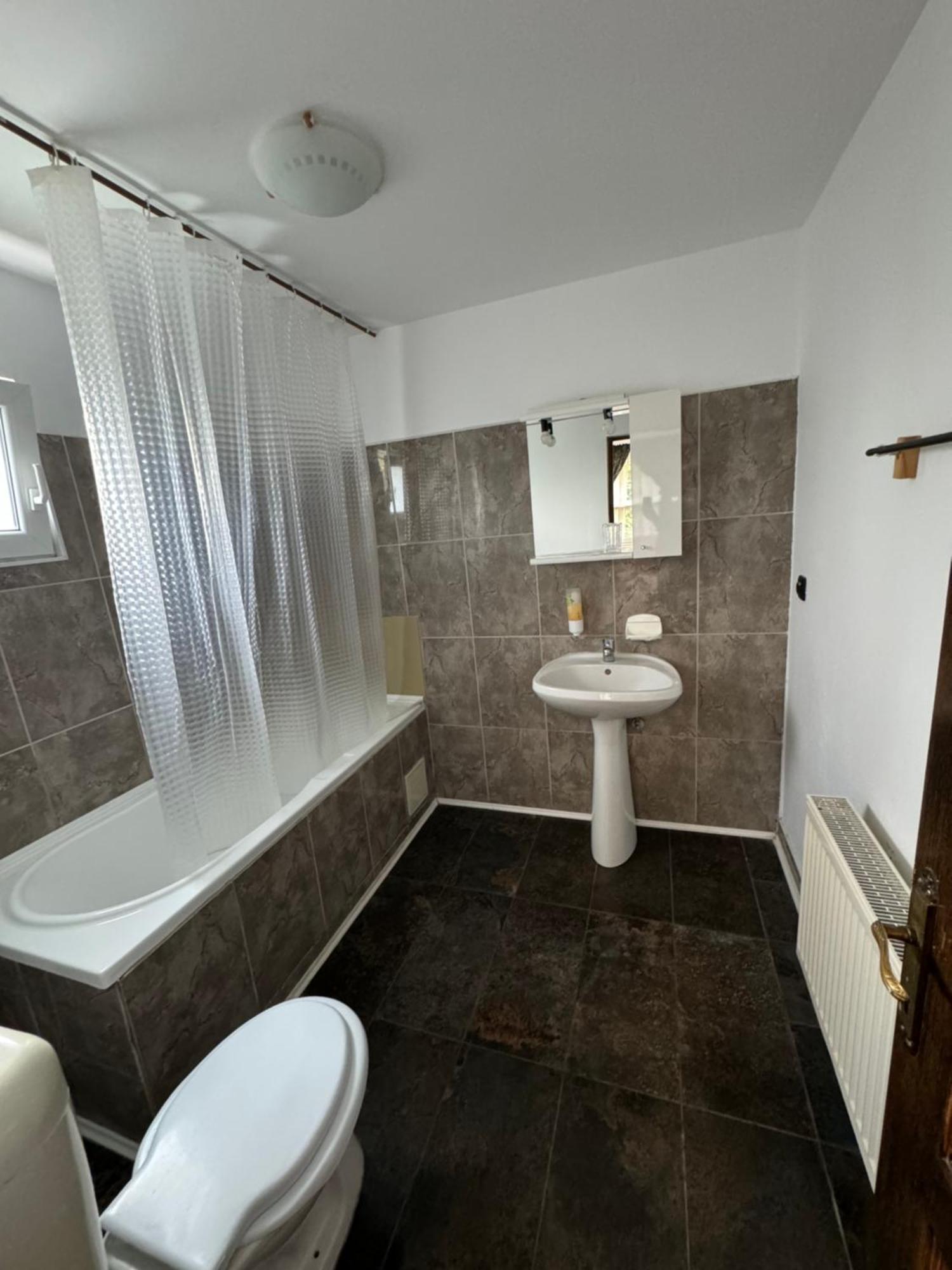 Casa David Hotel Busteni Bagian luar foto
