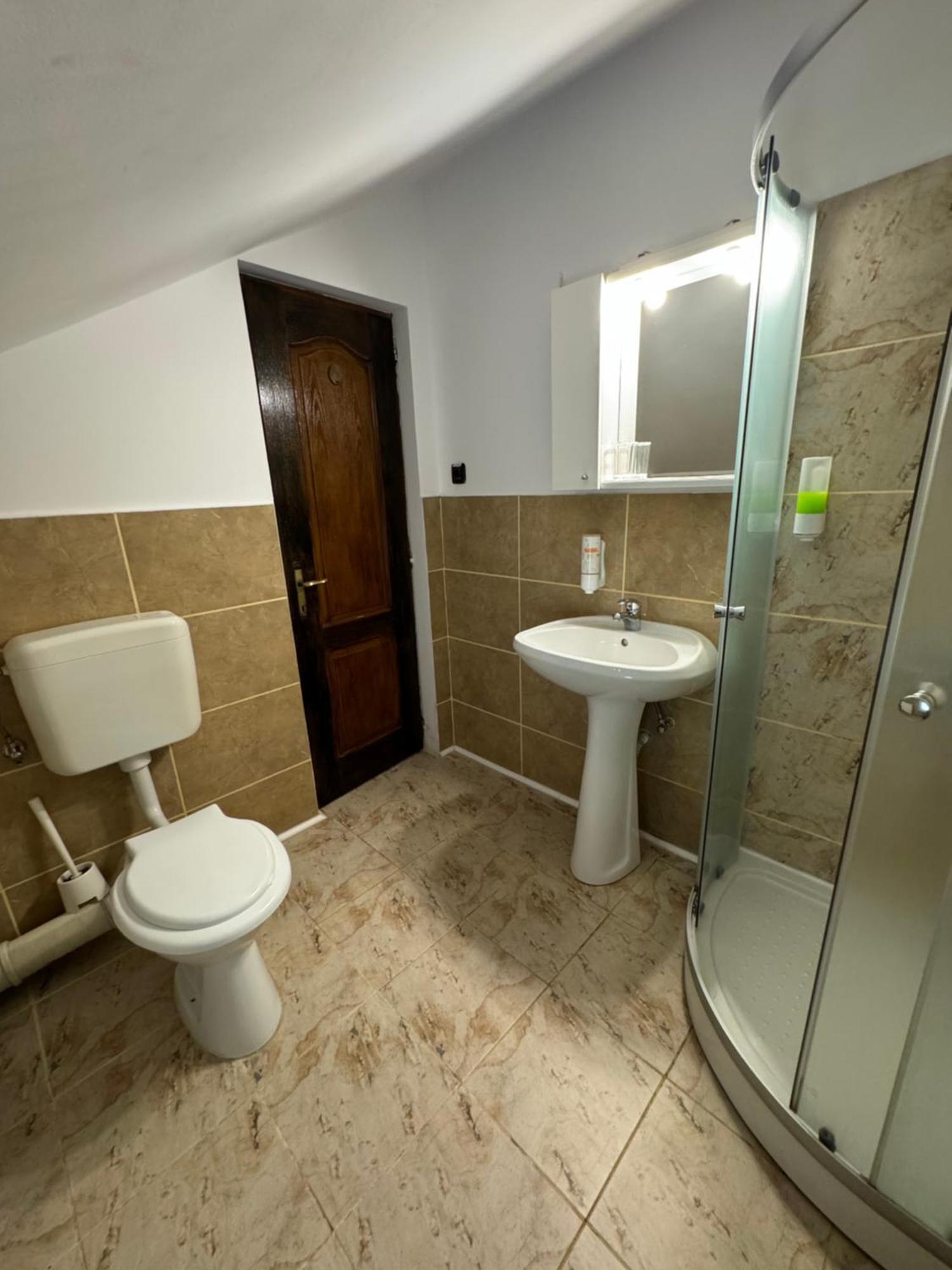 Casa David Hotel Busteni Bagian luar foto