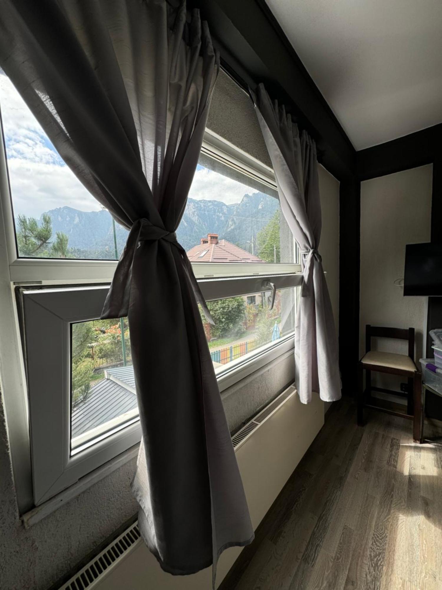 Casa David Hotel Busteni Bagian luar foto