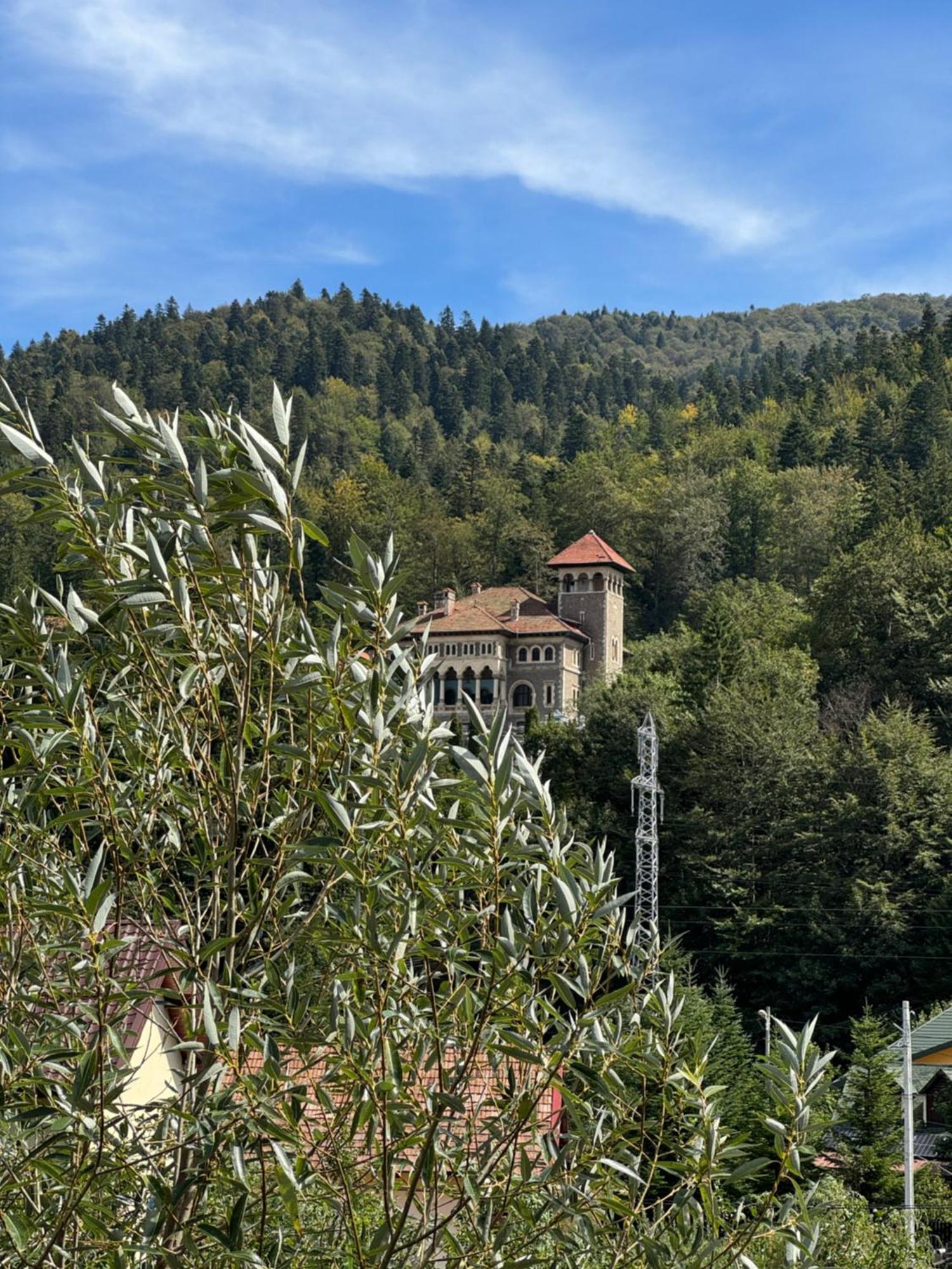 Casa David Hotel Busteni Bagian luar foto