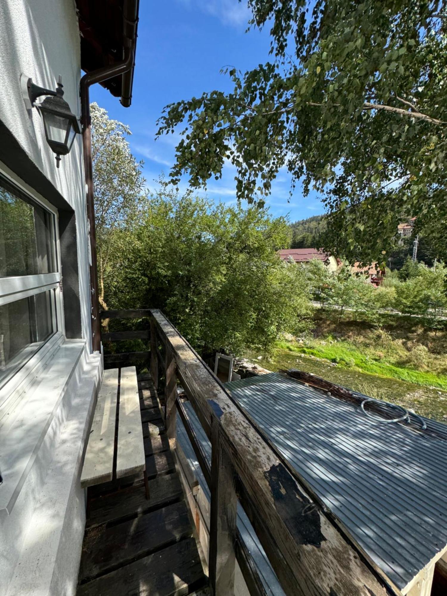 Casa David Hotel Busteni Bagian luar foto