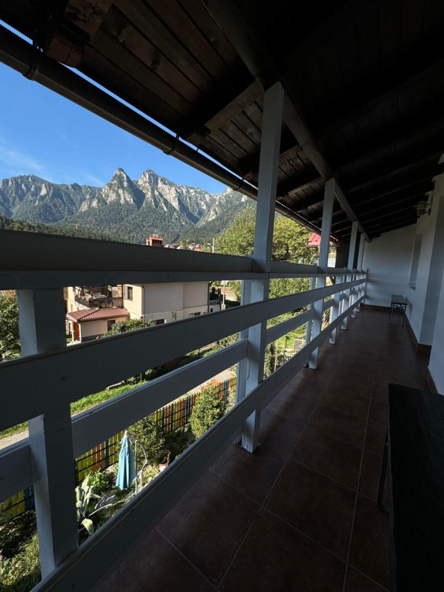 Casa David Hotel Busteni Bagian luar foto
