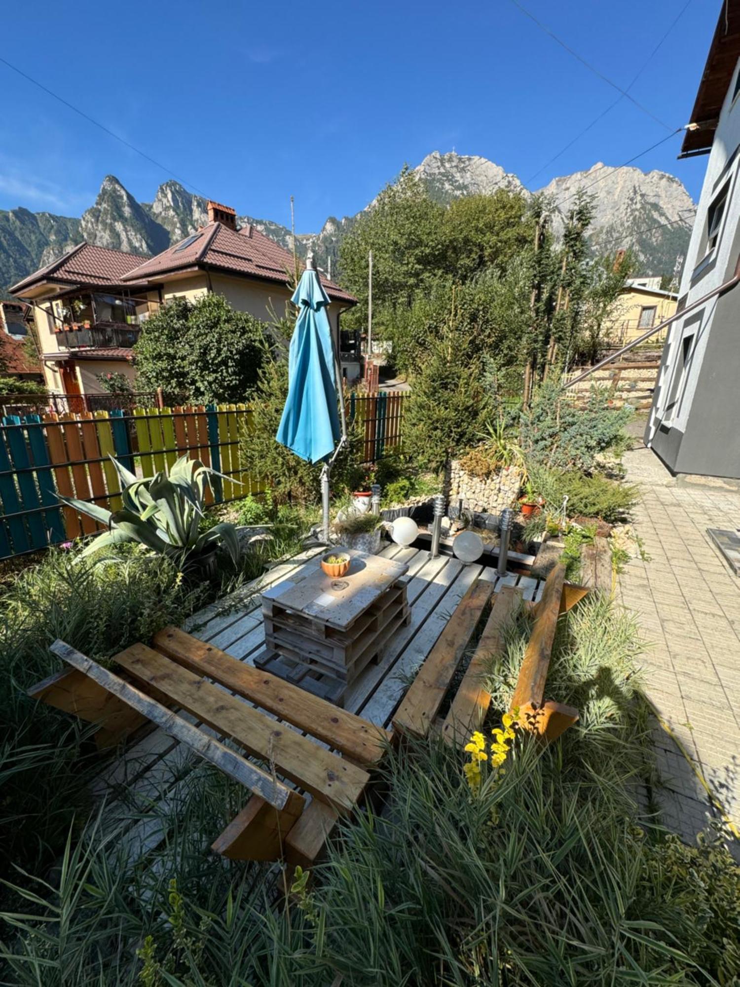 Casa David Hotel Busteni Bagian luar foto